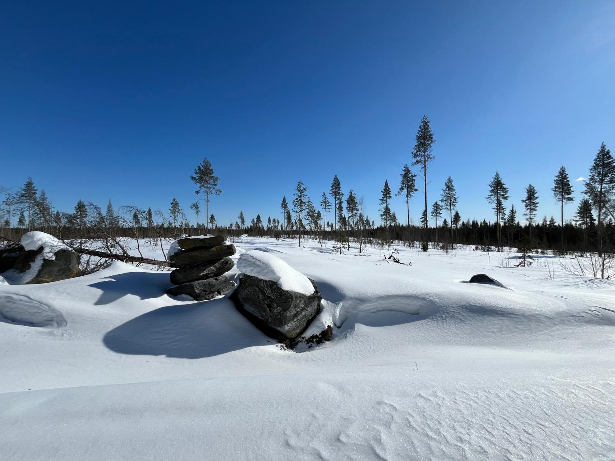 Log Villa In 10 Min From Santa Claus Village-Sauna&Freeparking Rovaniemi Exterior photo