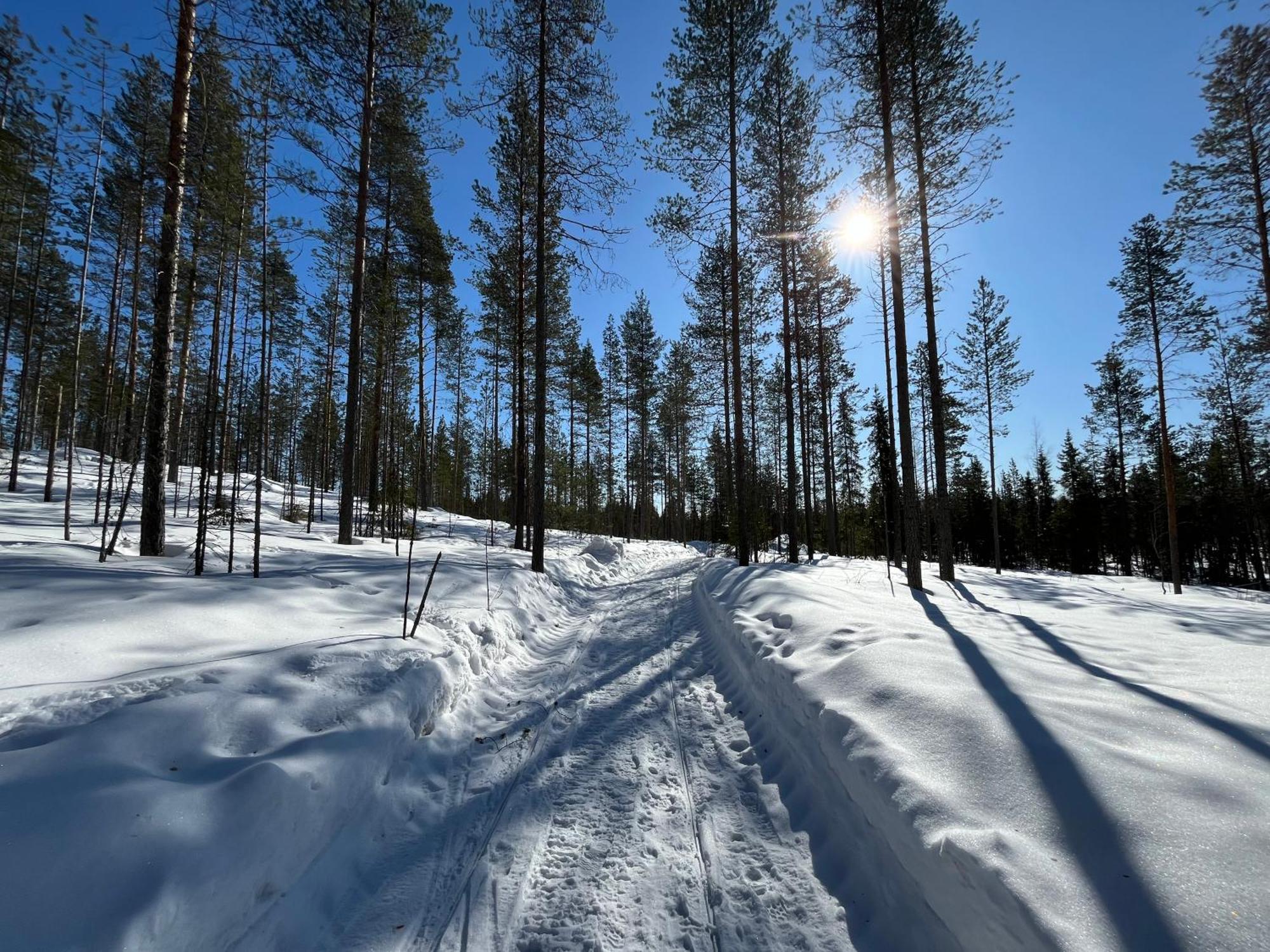 Log Villa In 10 Min From Santa Claus Village-Sauna&Freeparking Rovaniemi Exterior photo